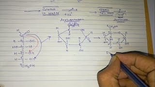 4 Sugar isomers Part3 Optical isomers [upl. by Sivla80]