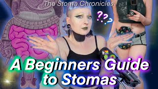 A Beginners Guide to Stomas [upl. by Worrell]