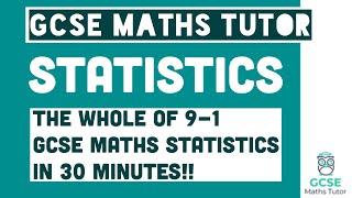 All of Statistics in 30 Minutes Foundation amp Higher Grades 49 Maths Revision  GCSE Maths Tutor [upl. by Nnylak421]