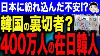 【ネズミこー的に増えていきますよね、そりゃ🐀💧】在日韓国人の実態は…400万人！？日韓関係が生む影の存在はどう扱われる？ [upl. by Noved]