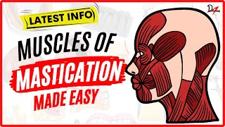 Muscles of Mastication Made Easy [upl. by Airliah696]