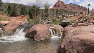 Fishing in Zion National Park [upl. by Anilegna]