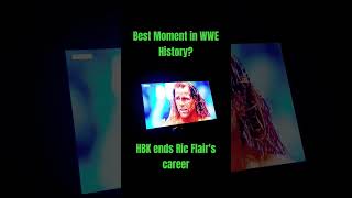 Best moment in WWE history hbk vs ric flair wwe [upl. by Carlile467]