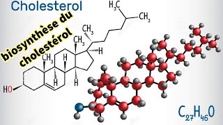 Biochimie  biosynthèse du cholestérol [upl. by Sirrom]