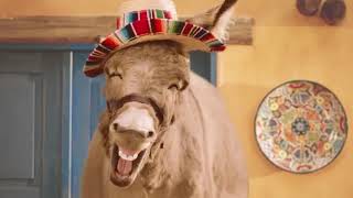 Tasty Donkey  Batchelors Super Noodles Commercial [upl. by Ridglea]