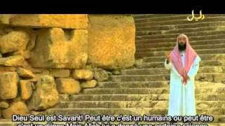 E24 Sulayman  Salomon 1 des Histoires des Prophètes par Nabil ElAwady [upl. by Licko]