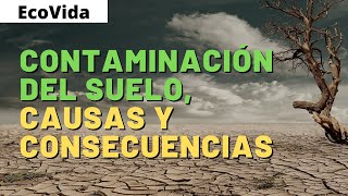 CONTAMINACIÓN del SUELO ✅ CAUSAS CONSECUENCIAS y SOLUCIONES [upl. by Ayekal618]