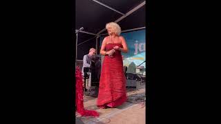 Martijn Schok Boogie amp Blues Band 2 Domburg Jazz by the Sea 2024 [upl. by Crosley591]