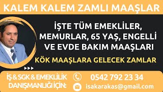 YENİ EMEKLİMEMUR65 YAŞENGELLİEVDE BAKIM [upl. by Nipha]