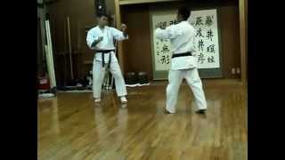 Sensei Nakamatsu Training 2005 [upl. by Ynots]