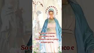 So che sei stanco e stressato ma la Madonna è con te e prega sempre per te gesù gesu shorts [upl. by Simone]