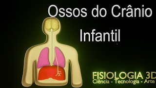 Anatomia do Crânio Infantil [upl. by Germaine744]