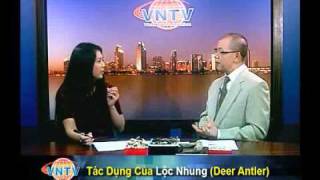 Tác Dụng Của Lộc Nhung Deer Antler [upl. by Ttekcirc]