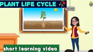 plant life cycle 🥀 learning video for kidsMarvelousvibes290 [upl. by Nowyt587]