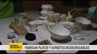 Fabrican platos biodegradables en Huancayo  UNSA supervisa prohibición de uso de plástico [upl. by Orten]