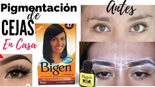 CEJAS SEMIPERMANENTES En Casa Usando BIGEN Tinte en Polvo Permanente El Paso a Paso [upl. by Ailerua]