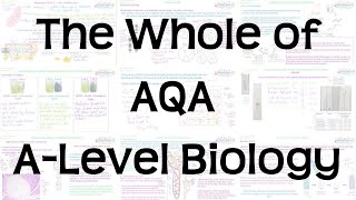 Enzymes  GCSE Science Required Practical [upl. by Litta]