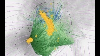 Space Weather Dust Star Dance FIRE Simulations  S0 News Oct52019 [upl. by Olemrac]