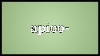 Apico Meaning [upl. by Alarick]