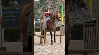 Working Equitation 🇵🇹 lusitano Obelix amp Beatriz Almeida 2024 Santarém horse equitation equity [upl. by Blynn]