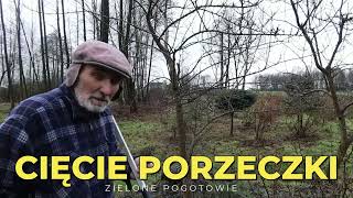 Cięcie porzeczki czarnej [upl. by Kavanagh]