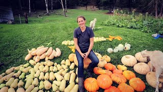 How to Grow Cure and Store Amazing Squash  What Varieties I Grow [upl. by Cordell961]