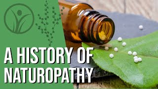 What is Naturopathy  History explained [upl. by Laughton969]