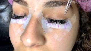 How to do Russian Volume 3D Eyelash Extensions Using Pre made Volume Fans [upl. by Ania]