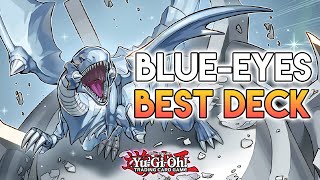 BlueEyes Just Turned Into The BEST Deck With This BROKEN NEW Support YuGiOh [upl. by Enrichetta]