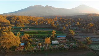 Regenerative Organic Eco Farm Next to Bali  Lombok Organic [upl. by Kendy295]