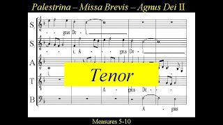 Palestrina  Missa Brevis  7Agnus Dei II  Tenor [upl. by Aikahc322]