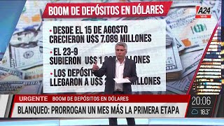 💸BOOM DE DEPÓSITOS EN DÓLARES SE PRORROGA EL BLANQUEO [upl. by Enived]