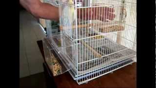 Tidy Seed NoMess Bird Feeder Full Demonstration [upl. by Ertha]