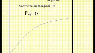 Rendimientos Marginales Decrecientes [upl. by Arten]