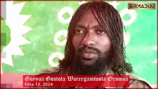 Dhaamsa Jaal Marroo  Guyyaa Gootota Wareegamtoota Oromo  Ebla 13 2024 [upl. by Ayit926]