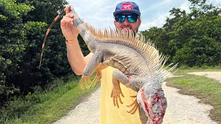 IGUANA Hunting In The CAYMAN ISLANDS Catch Clean Cook [upl. by Nevart]