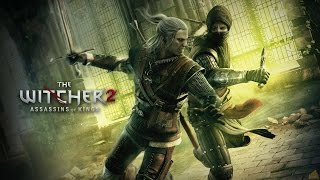 Witcher 2 how to mod save [upl. by Enner]