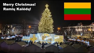 Lithuania Vilnius Christmas Tree 2024 Vilniaus Kalėdų eglė 2024 Різдвяна ялинка Вільнюса 2024 [upl. by Neelehtak]