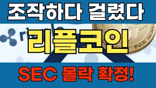 리플 코인 SEC 몰락은 확정이다 SEC의 치졸한 계획은 리플 대폭등을 만들것 [upl. by Alicia]