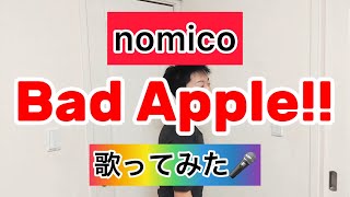 【nomico】Bad Apple feat nomico 歌ってみた🎤 [upl. by Laro]