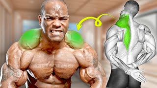 5 Best Traps Workout Big Trapezius Exercises [upl. by Reldnahc262]