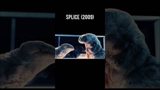 SPLICE 2009 👽Scene 16 movie movieclips ytshorts alien viralvideo moviescenes [upl. by Burrton]