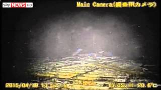 Inside Fukushima Nuclear Reactor [upl. by Albur]