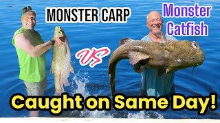 Guys Catch a Monster Catfish Noodling and Shoot Huge Carp Bowfishing The Same Day [upl. by Yreffej]