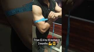 15 Inch biceps 💪 biceps arms youtubeshorts bodybuilding follow shorts gym gymmotivation [upl. by Woody]