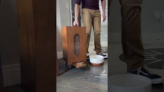 Modern dog feeder Houndsycom midcenturymodern interiordesign dogfeeder dogs [upl. by Cilo372]