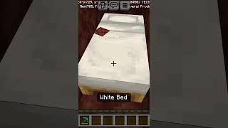 l sleep in nether😂 [upl. by Ahsinyar]