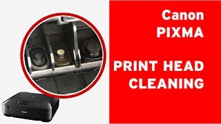 How to clean Canon PIXMA print head flushing clogged nozzles on a print head [upl. by Ackerman]