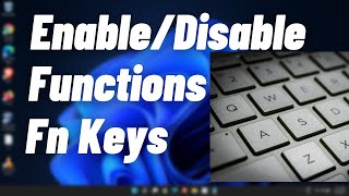 How to Enable or Disable Function Fn Keys in Windows 1110  Fix Functions Keys Not Working [upl. by Wildon437]