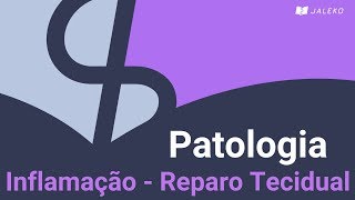 Patologia Inflamação  Reparo Tecidual [upl. by Animar973]